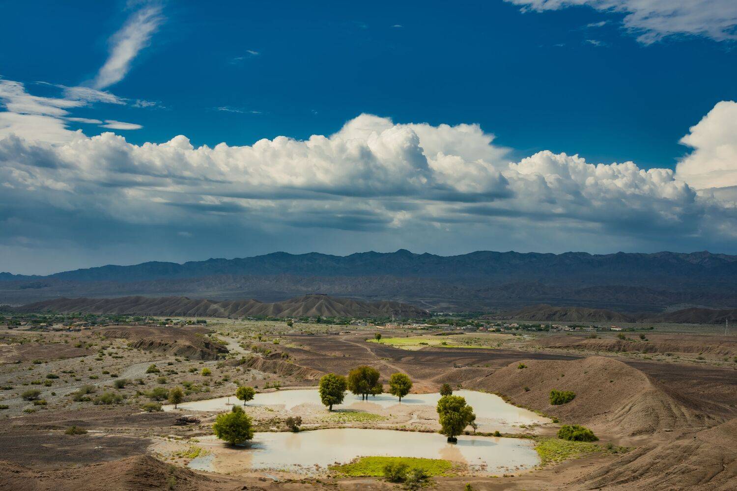 LANDSCAPE