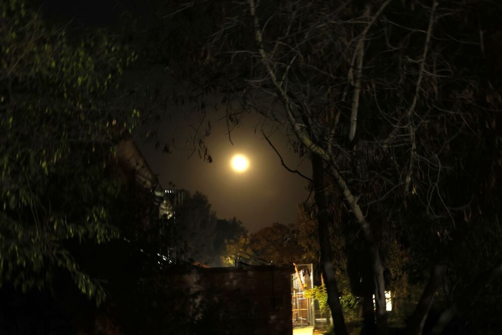 Photograph by Merav Zuberman Perkal