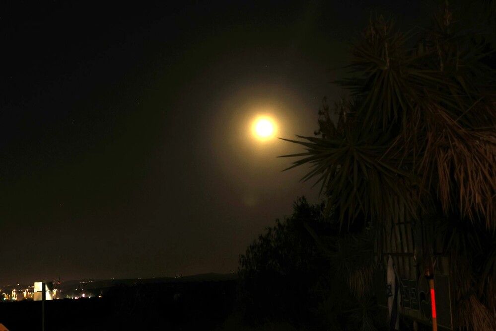 Photograph by Merav Zuberman Perkal