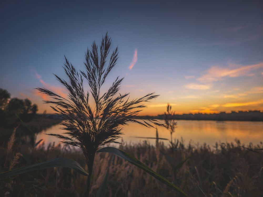 Photograph by Кирилл Сидоров