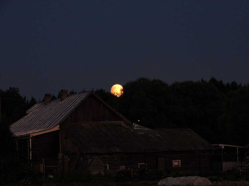 Photograph by Наталья Балабанова