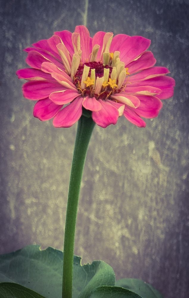 Фотография автора Rita Nel