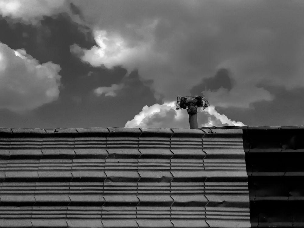 Photograph by mahdi ghanbari