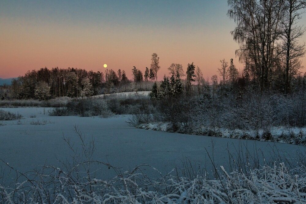 Photograph by Janis Serdienis