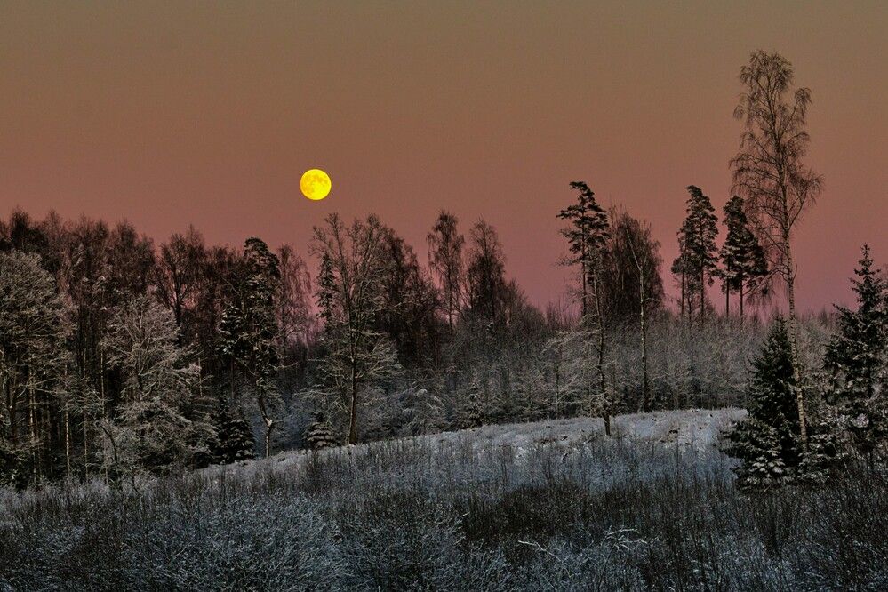 Photograph by Janis Serdienis