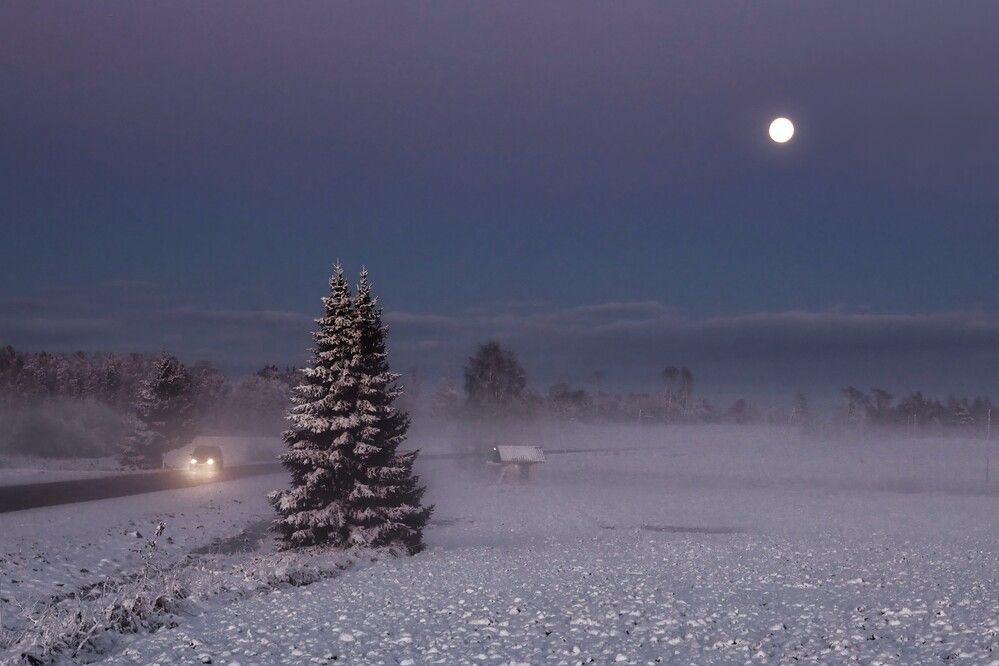 Photograph by Janis Serdienis