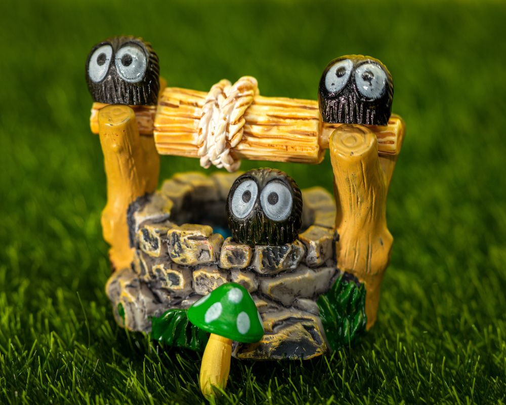 Photograph by Silvio José