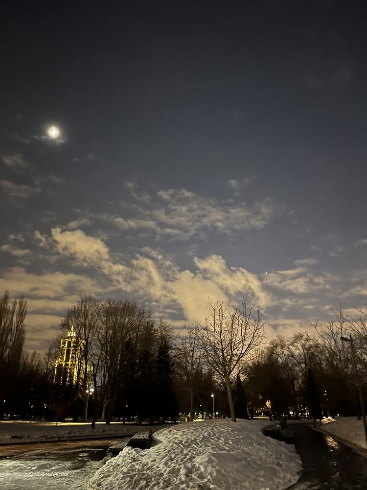 Фотография автора Виктория Ляпина