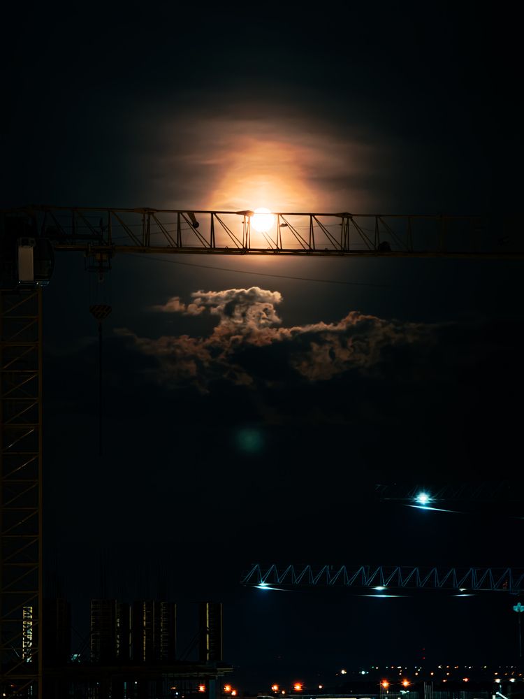 Фотография автора Елена Меньшикова