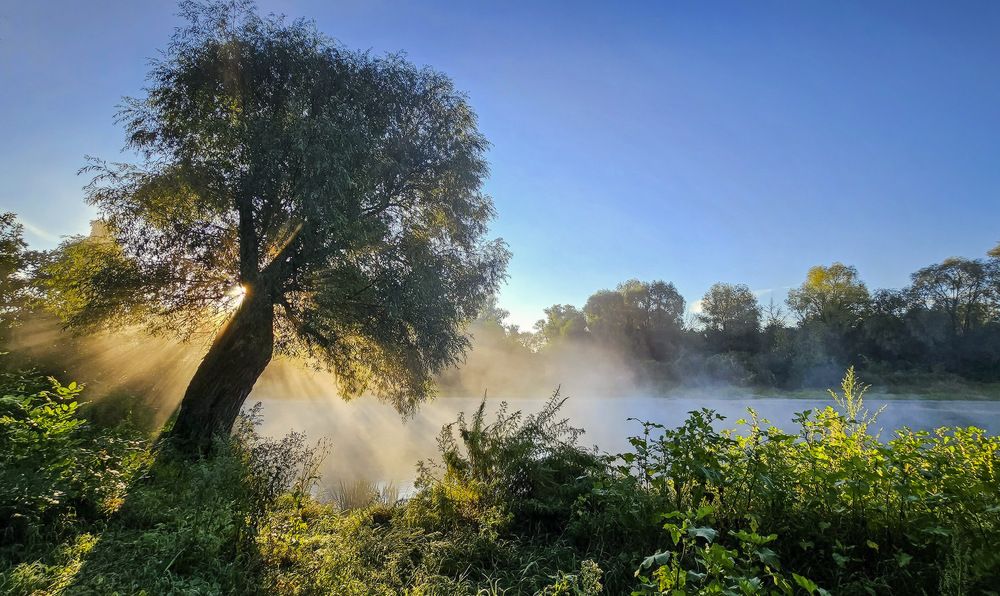 Photograph by Пирог Борис