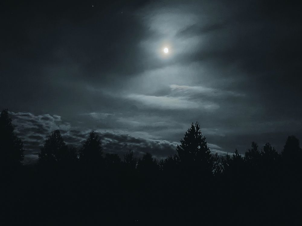 Полнолуние