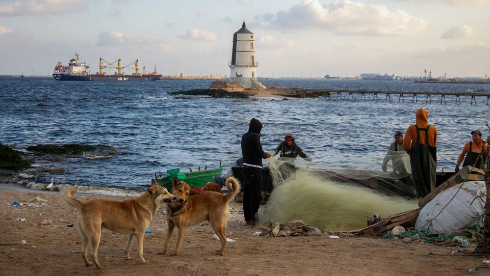 Фотография автора Muhammad Radi