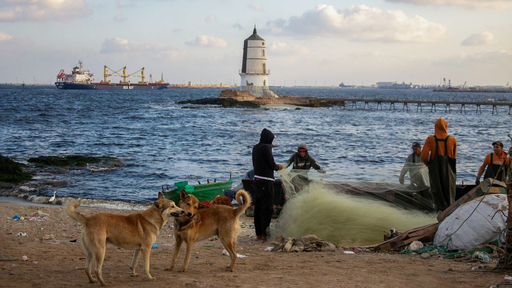 Photograph by Muhammad Radi