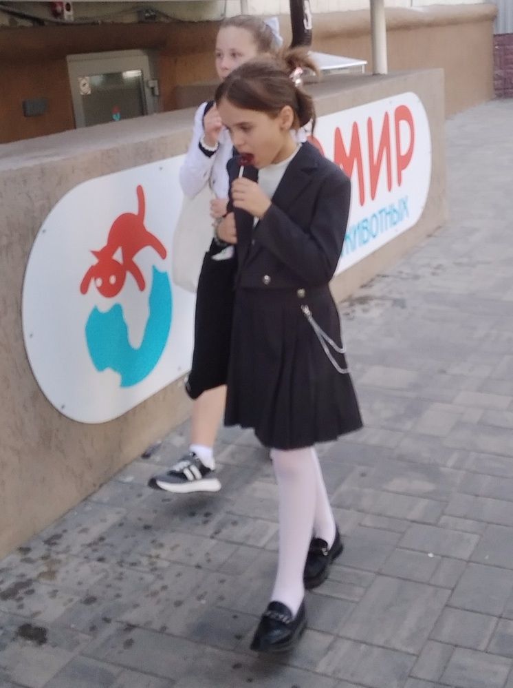 Photograph by Васильева Львовна