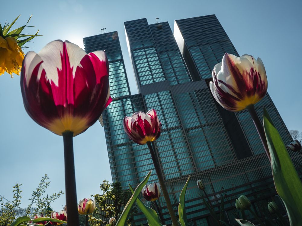 Photograph by Ирина Протченко