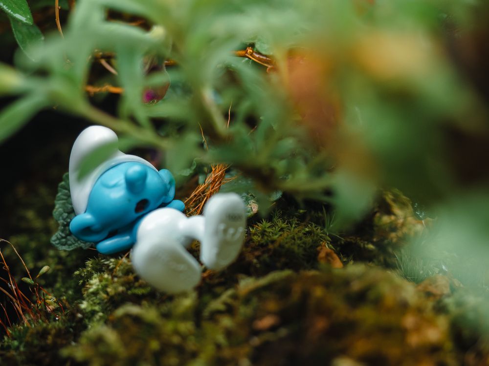 Photograph by Ирина Протченко