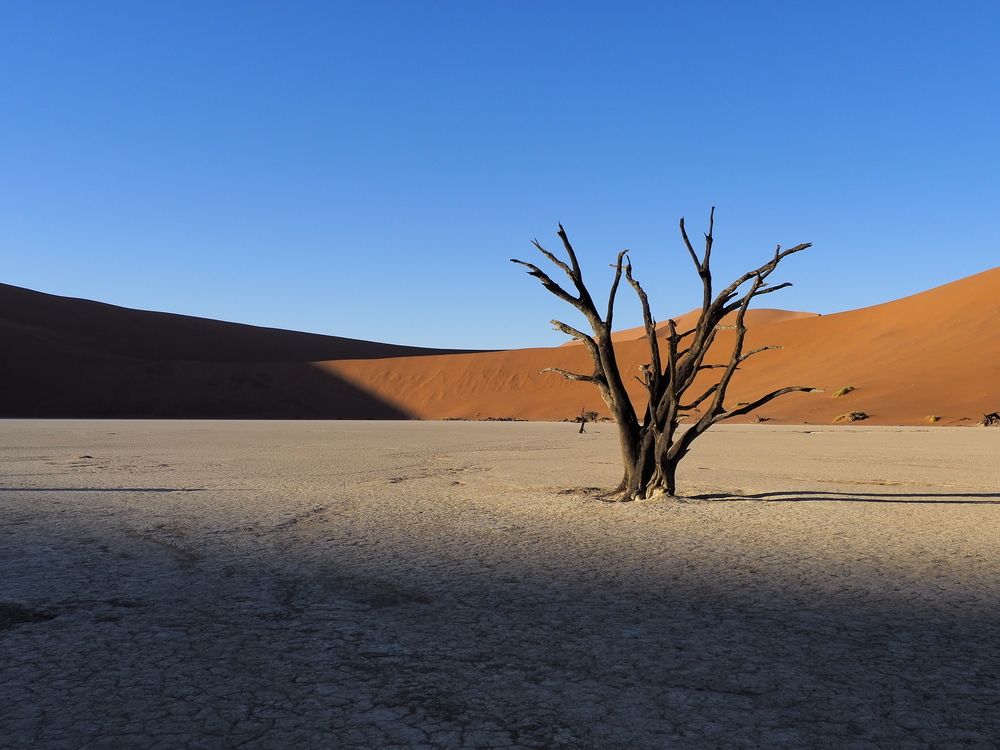 Photograph by Павел Сазанов