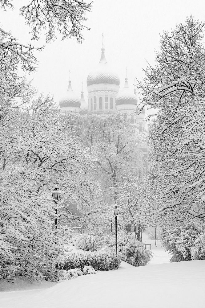 Photograph by Абросимов Александр