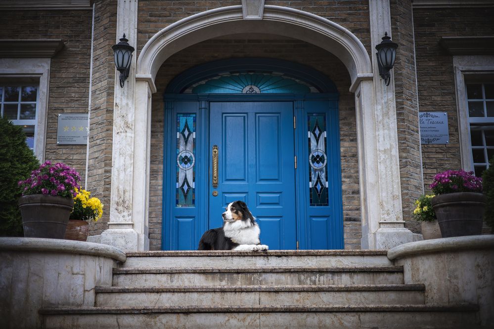 Photograph by Ирина Голомб