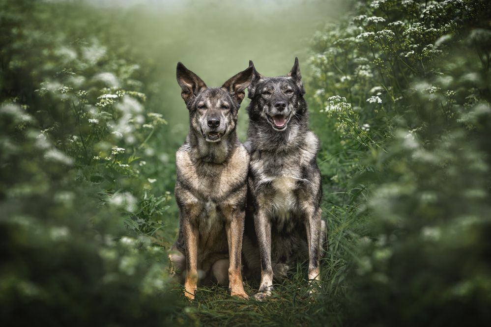 Photograph by Ирина Шестакова