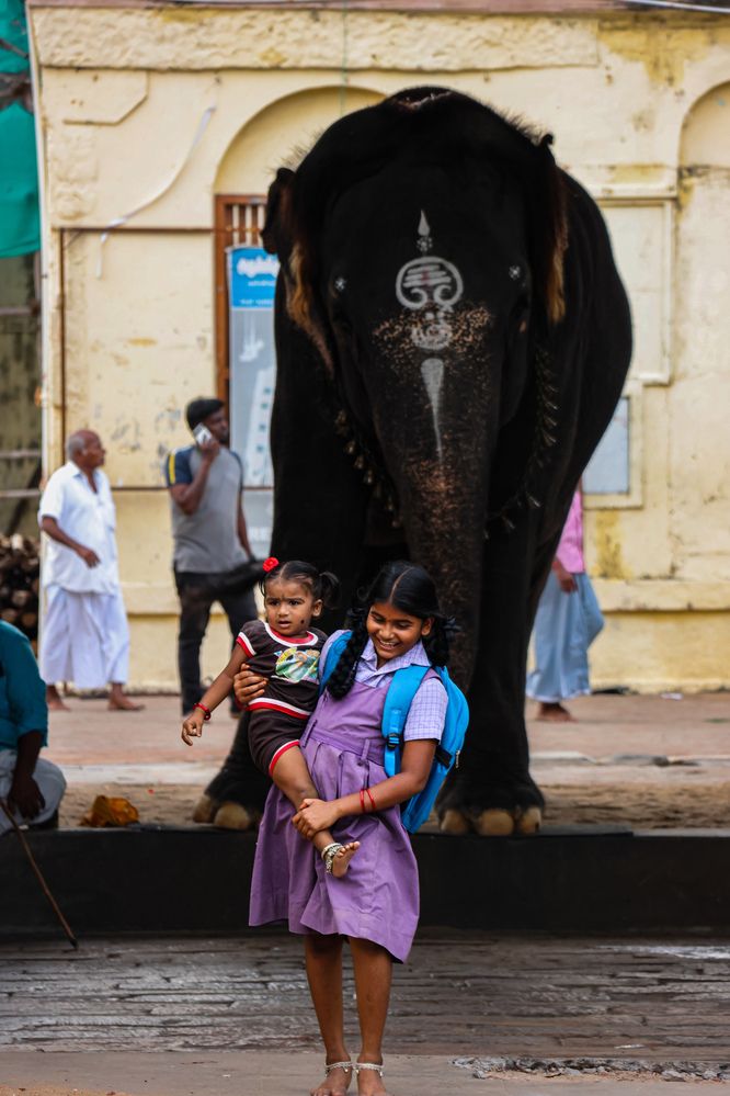 Photograph by Palani Bharathi
