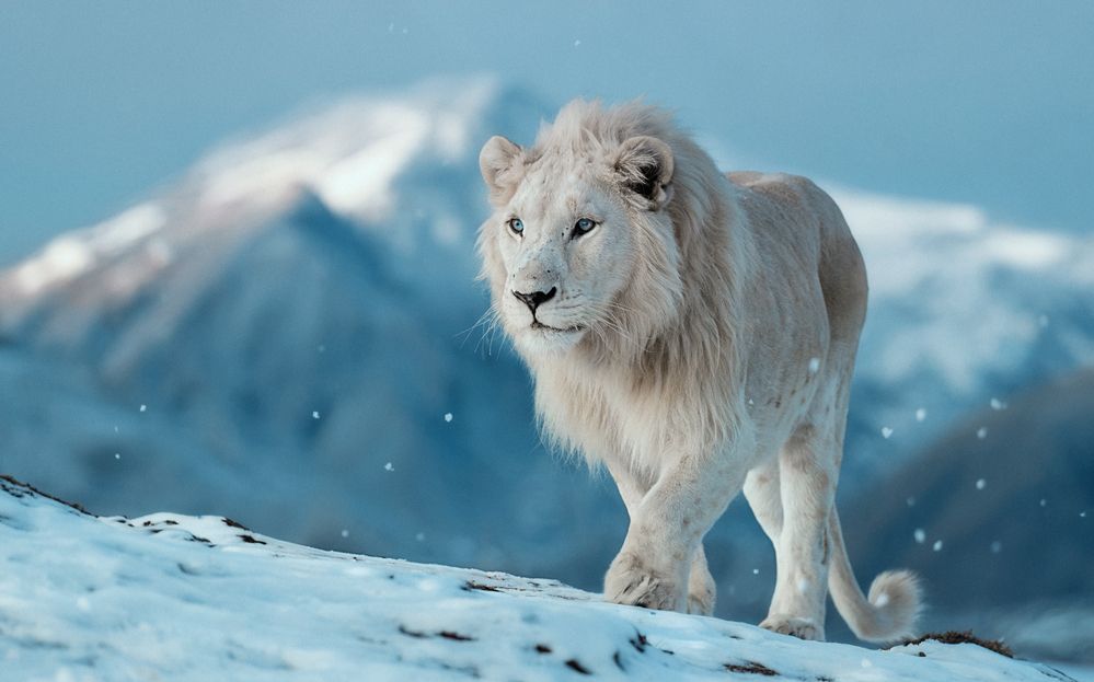 Фотография автора Щербакова Юлия