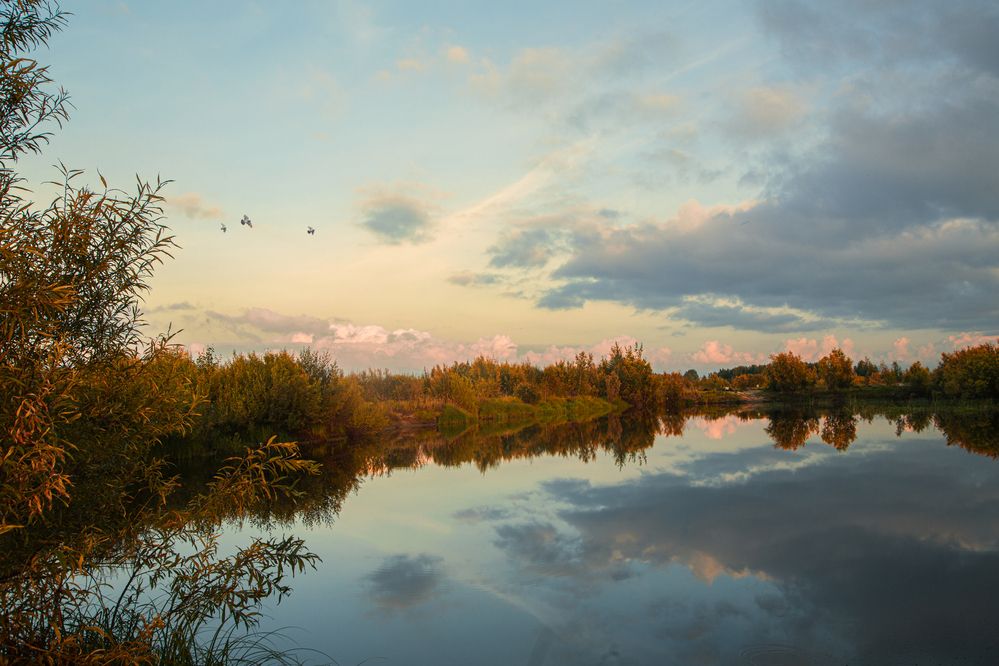 Фотография автора Елена Разина