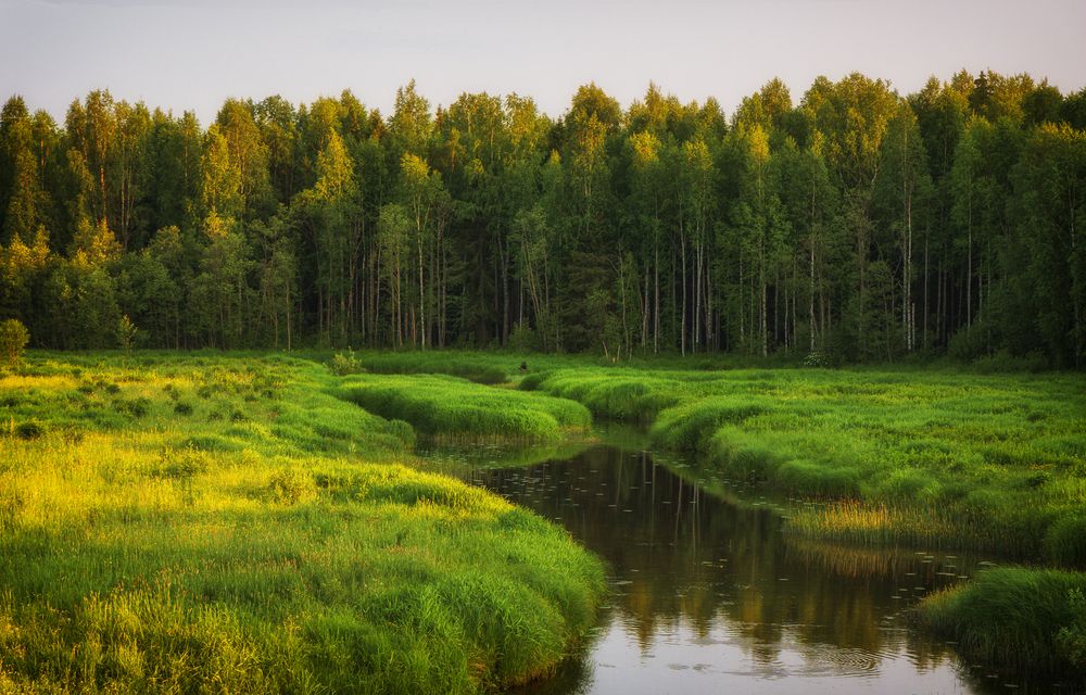 река Сырья, Пермский край.