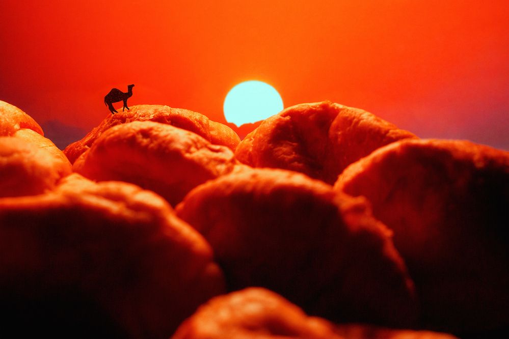 Photograph by Светлана Прокофьева