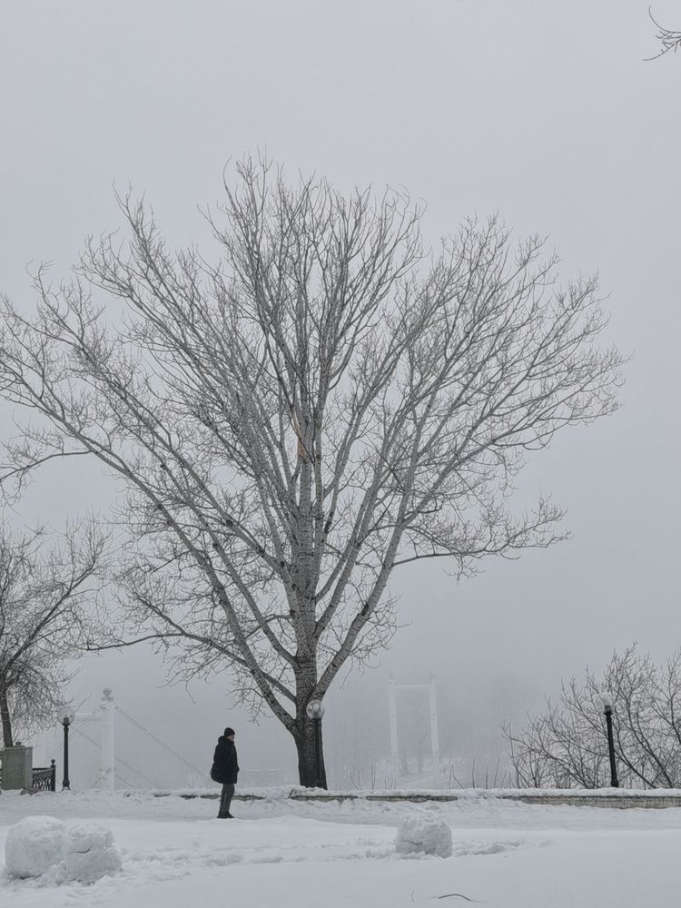 Photograph by Alexey Reznichenko