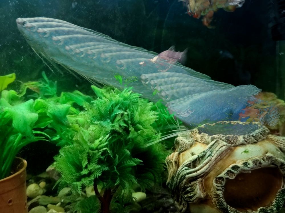 Photograph by Ирина Строкова