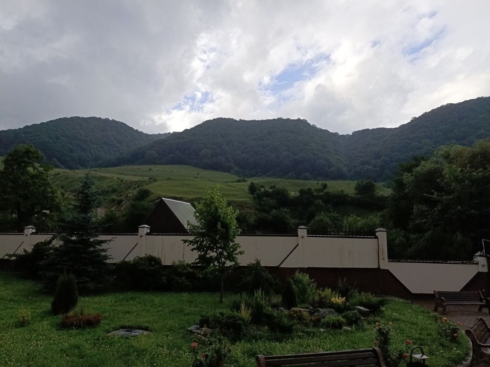 Photo #12567109