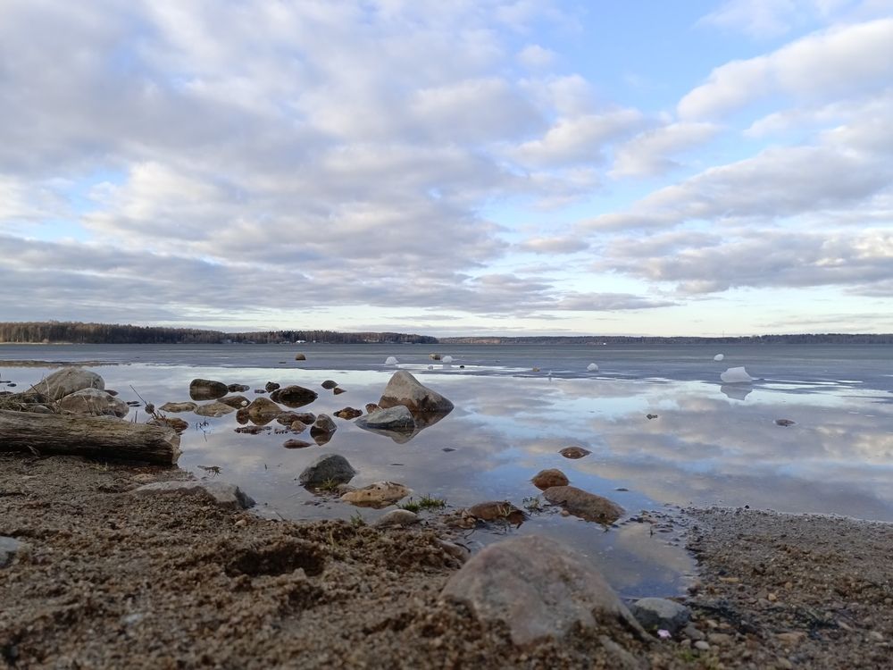 Photo #12567110