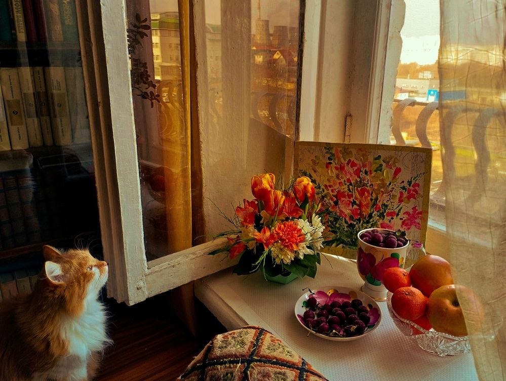 Фотография автора Надежда Болтунова