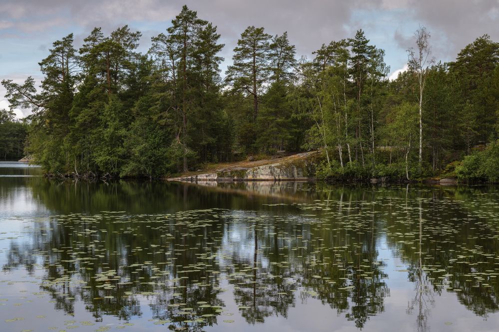 Photograph by Александр Журавлев