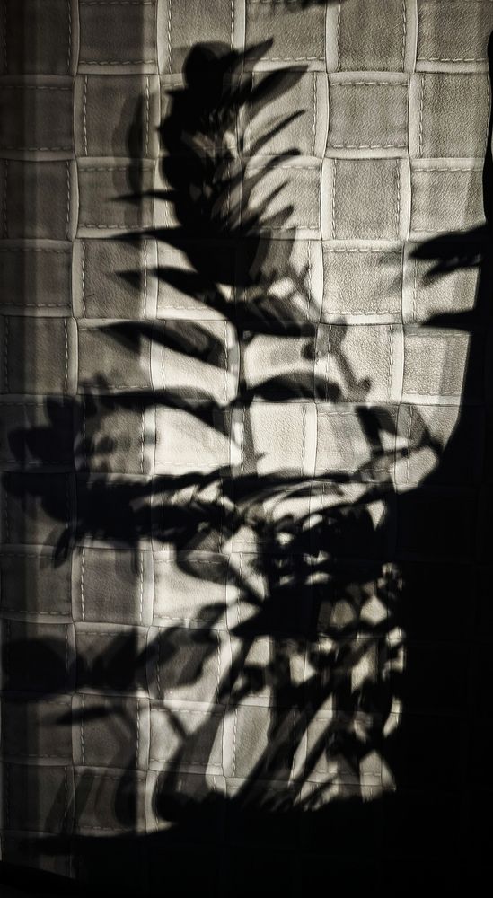 Photograph by Eugenia Blinova