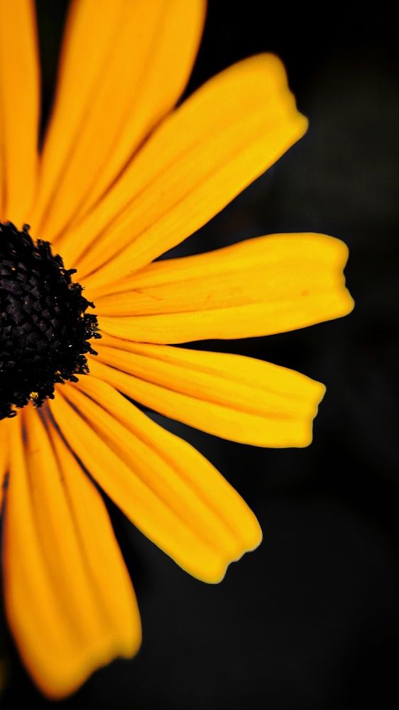 Photograph by Eugenia Blinova