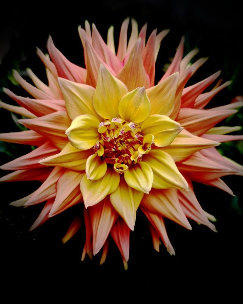 Photograph by Eugenia Blinova