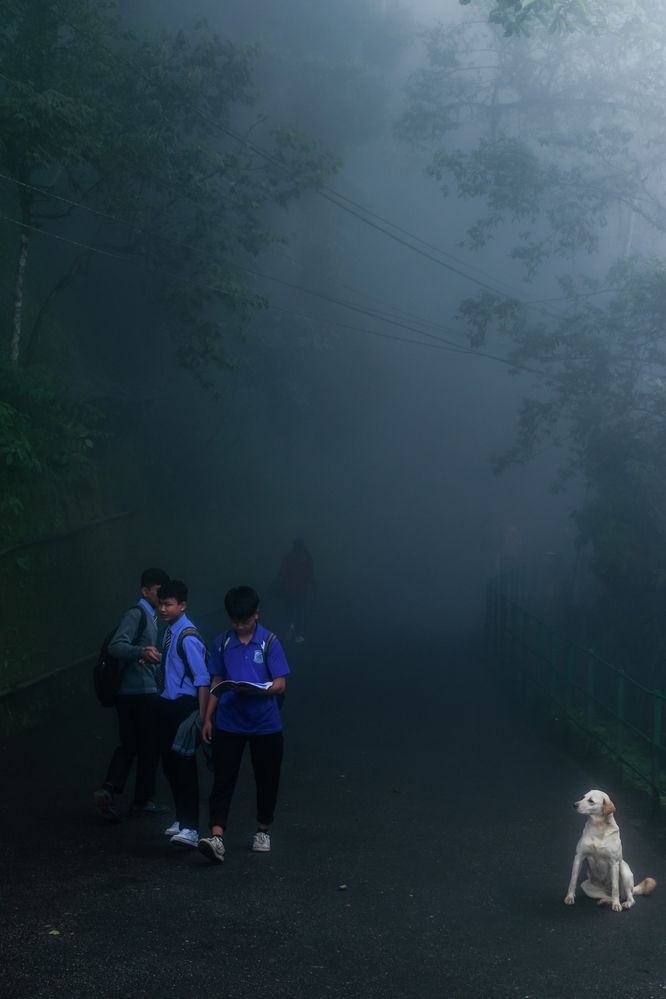 Photograph by ARANYA KAR