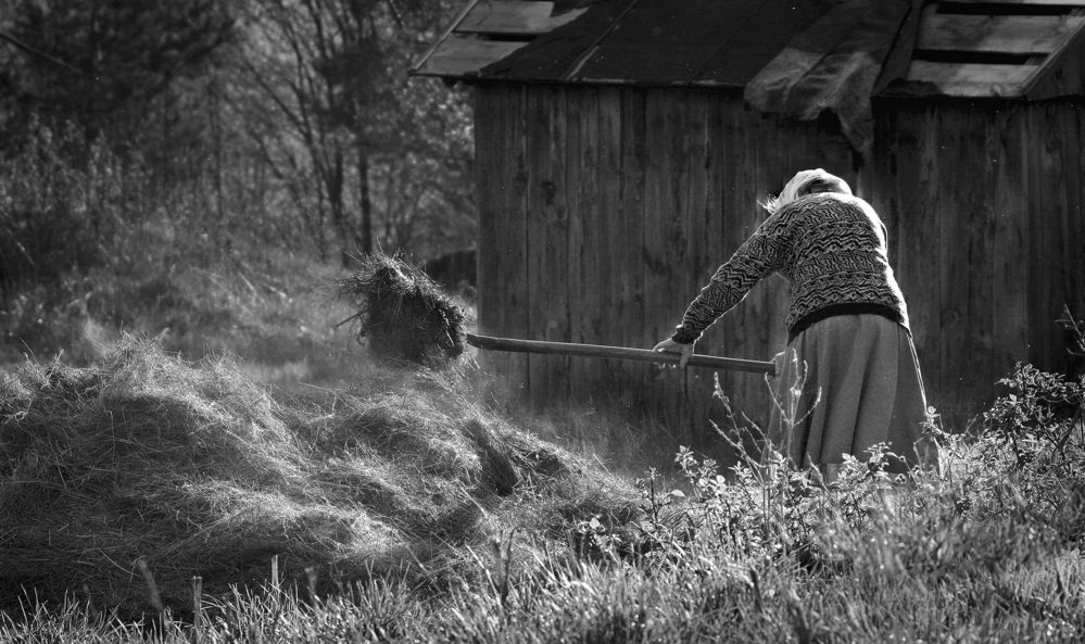 Photograph by Inga Ivanova EPCA/B, P IAAP, GPU CR1