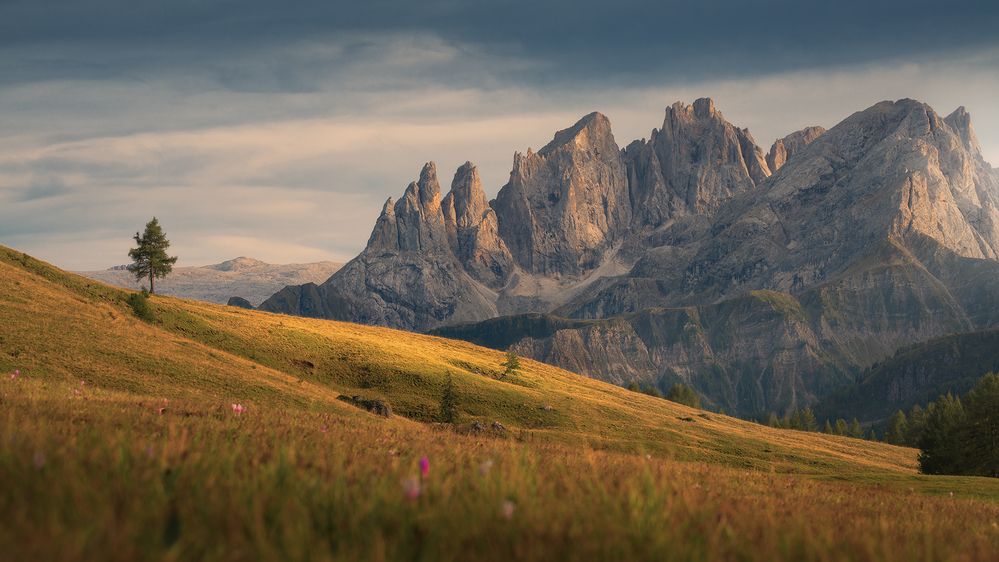 Photograph by de Franzoni Thomas