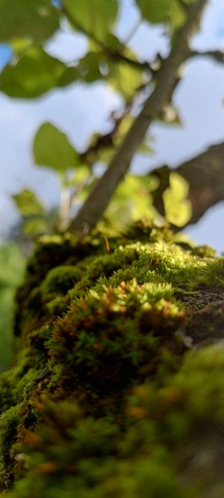 Photo #12567778