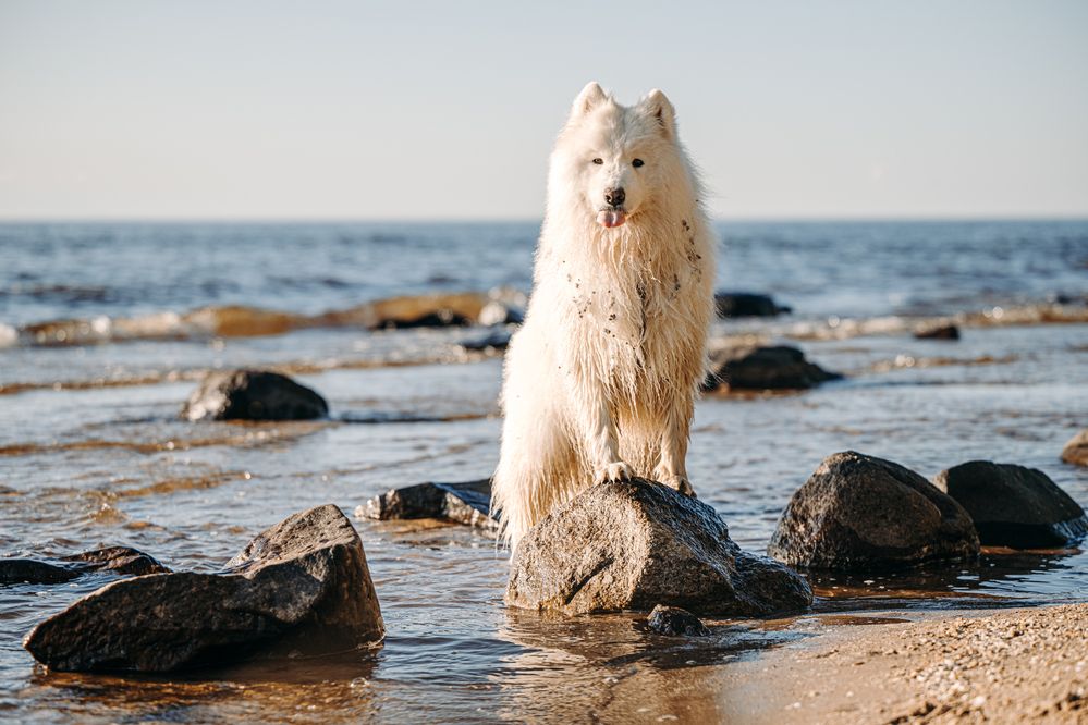 Photograph by Мария Калинина