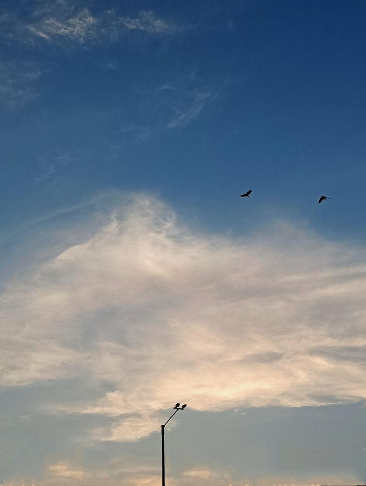 Photograph by Taksh Mavani