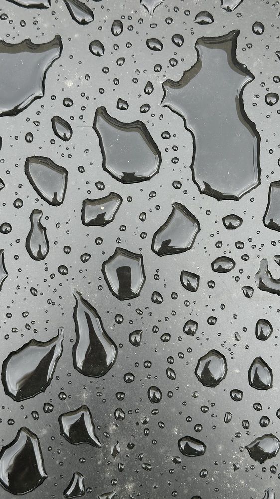 Photograph by Алена Любивая