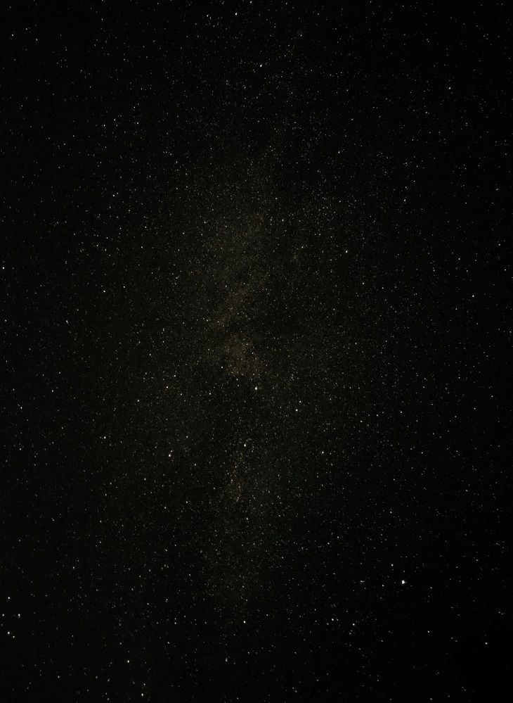 Photo #12567913