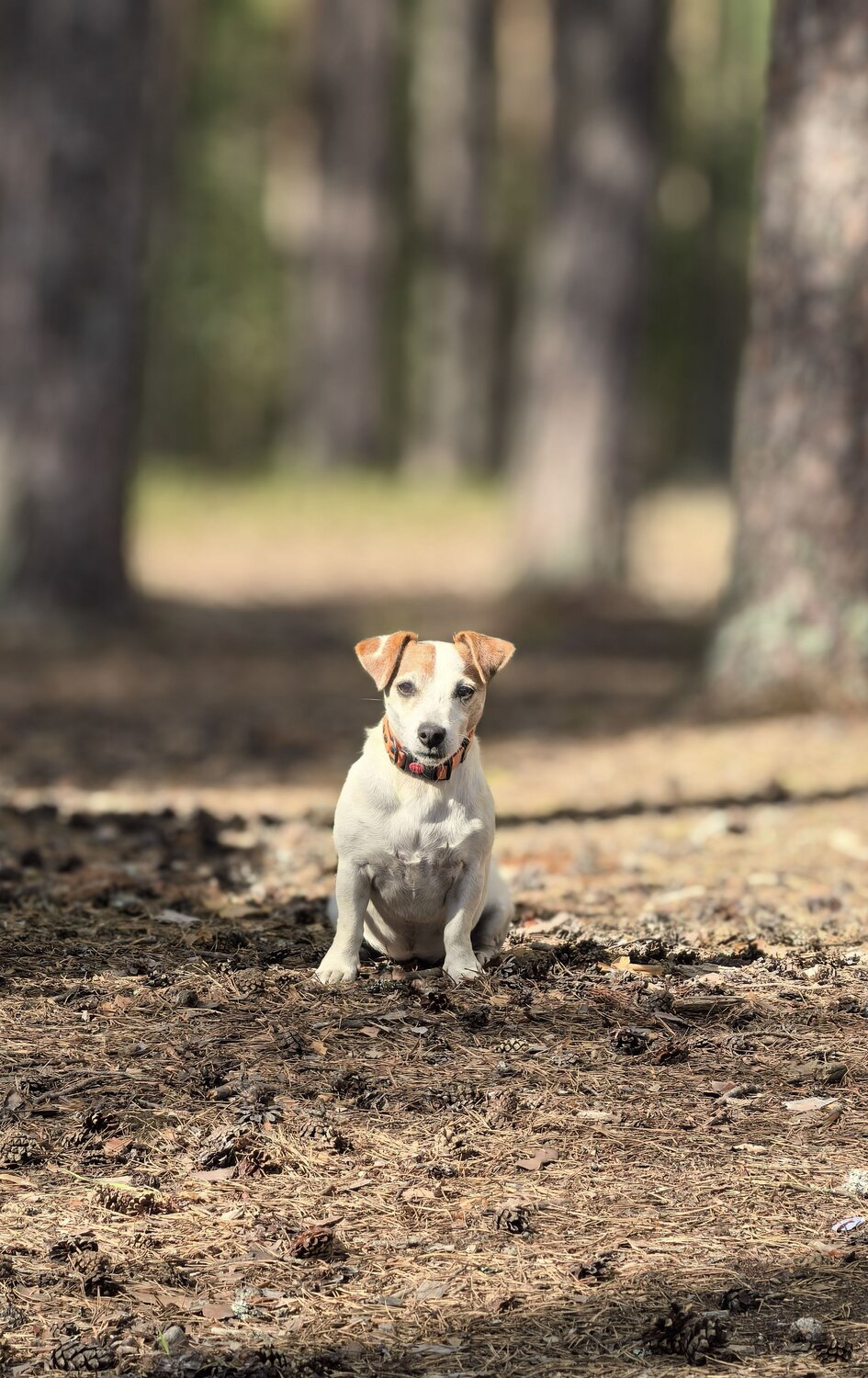 Photo #12567966