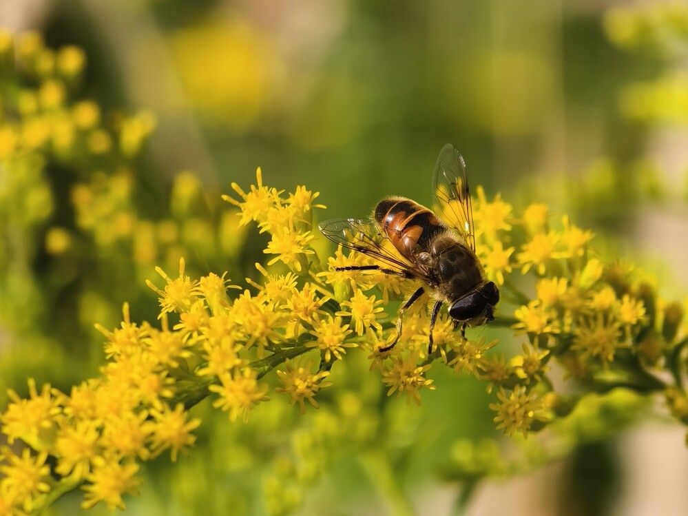 Photograph by Галина Бессуднова
