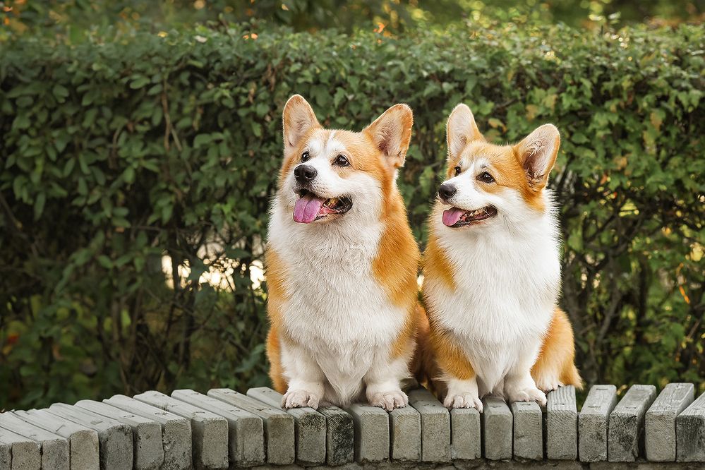 Photograph by Виктория Сафонова