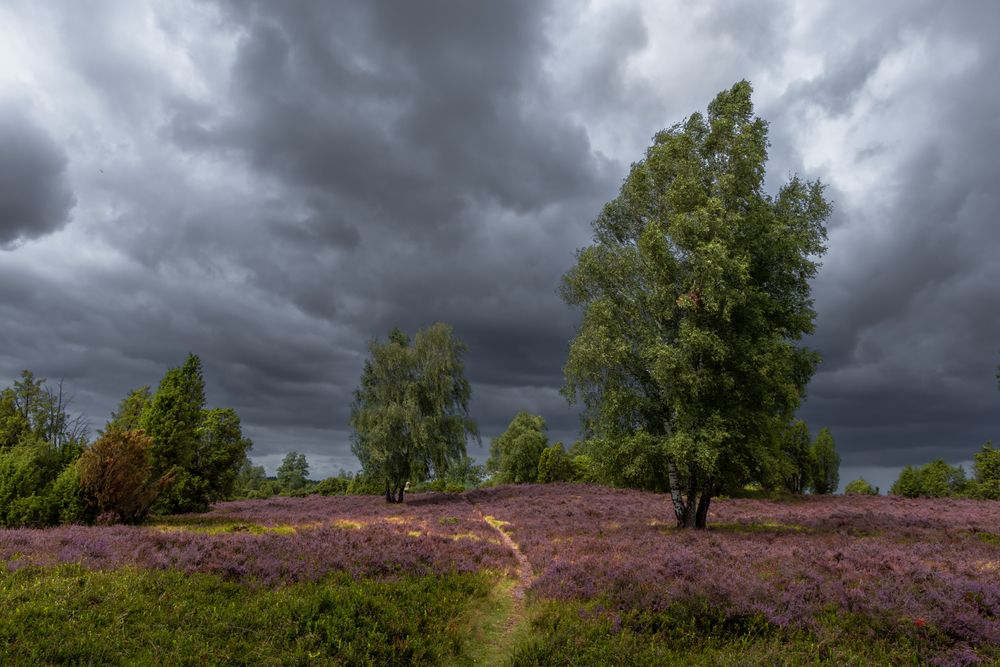 Photograph by Евгения Чех